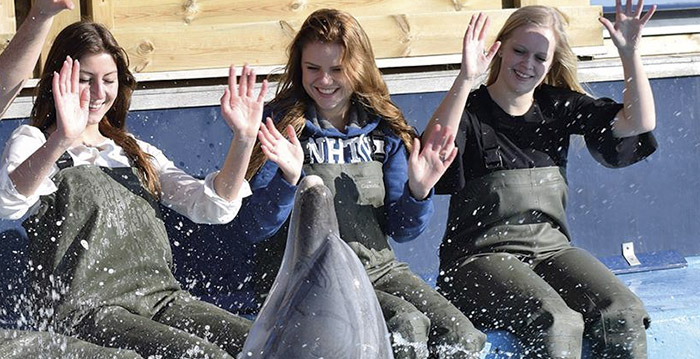 Dolfinarium stapt uit Nederlandse Vereniging van Dierentuinen