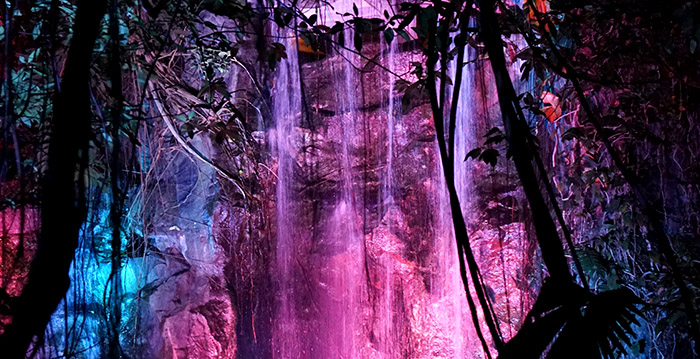 Burgers' Zoo vernieuwt lichtfestival