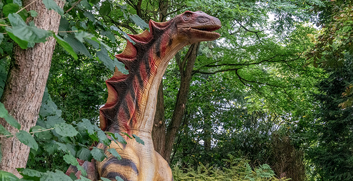 Miles Uitreiken martelen Dinoweken in ZooParc Overloon: enorme dinosaurussen in de dierentuin -  Looopings.nl