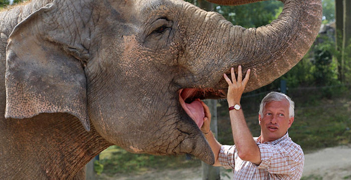 Directeur Pairi Daiza woedend om verplichte coronasluiting