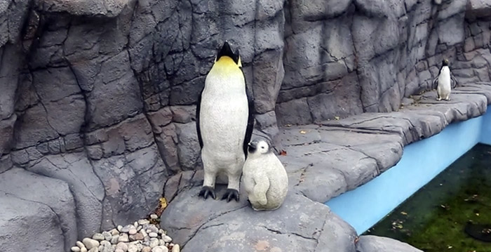 Dierentuin toont bezoekers plastic nep-pinguïns