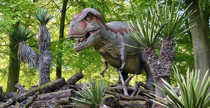 Foto's: dinosaurussen in grootste dierentuin van België