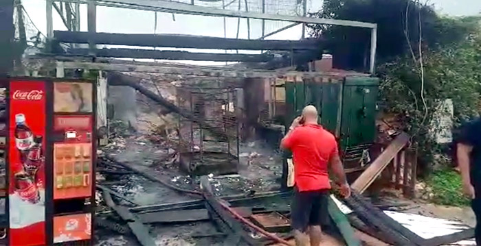 Dieren overleden bij felle brand in dierentuin