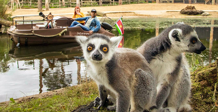 DierenPark Amersfoort: bijna 40 procent minder bezoekers in rampjaar 2020