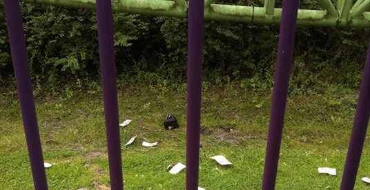 Geld ligt voor het oprapen in Walibi Holland: pechvogel laat 100 euro uit achtbaan vallen