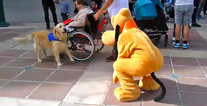 Video: Pluto ontmoet evenbeeld in Disneyland Paris