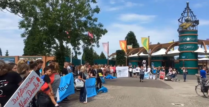 Oud-dolfijnentrainer organiseert demonstratie bij Dolfinarium Harderwijk