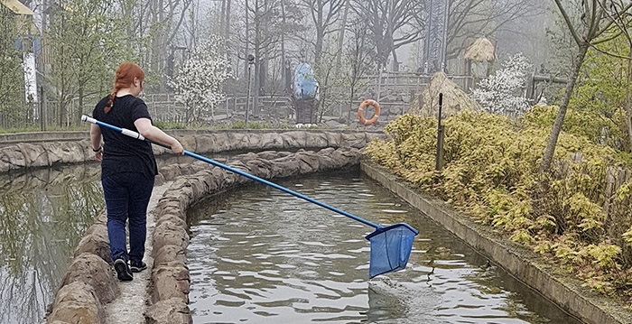 Toverland redt baby-eendjes van pijnlijke dood