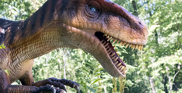 Tijdelijk dinopretpark in Enschede moet 'Jurassic Park-gevoel' oproepen