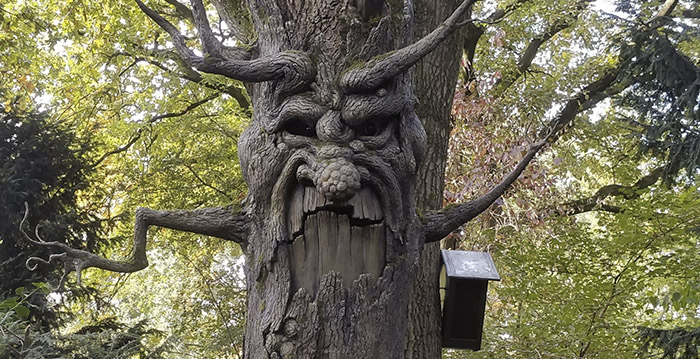 Video: nóg een pratende boom in de Efteling
