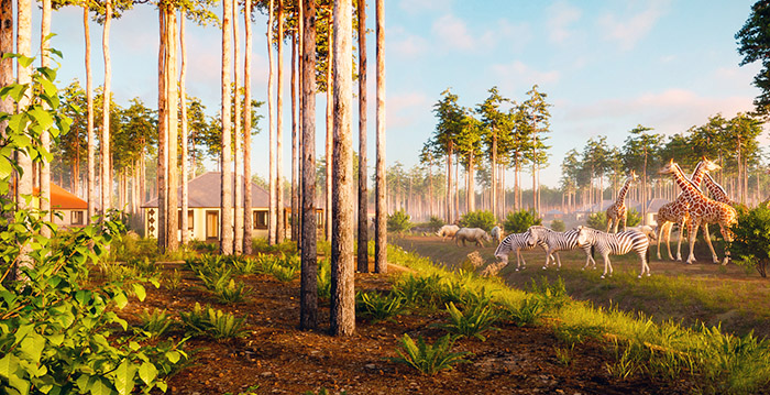 Safaripark Beekse Bergen steekt 100 miljoen euro in nieuw vakantiepark: 'Wakker worden tussen de leeuwen'