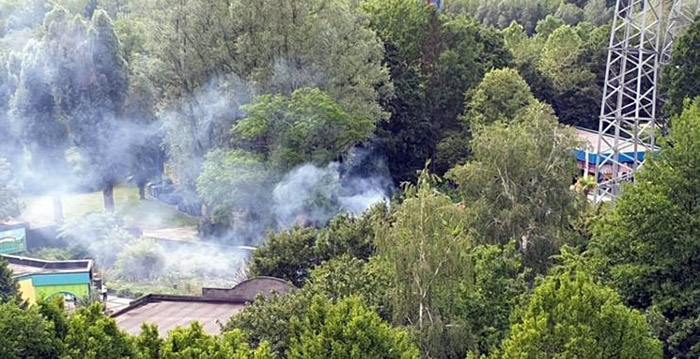 Bezoekers Walibi Holland steken palmboom in brand