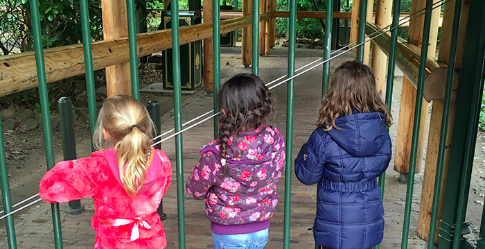 Bobbaan Efteling al vier dagen gesloten: oorzaak nog niet bekend