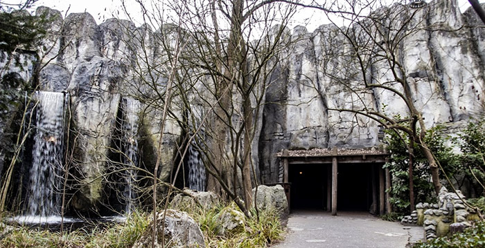 Efteling vernieuwt PandaDroom: attractie krijgt eindelijk nieuwe film én andere naam