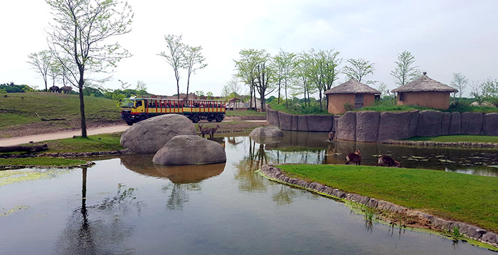 'Dierentuin Wildlands Emmen is vlees noch vis'