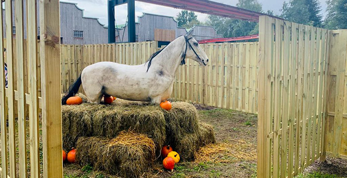 Attractiepark Slagharen voegt doolhof toe in herfstvakantie