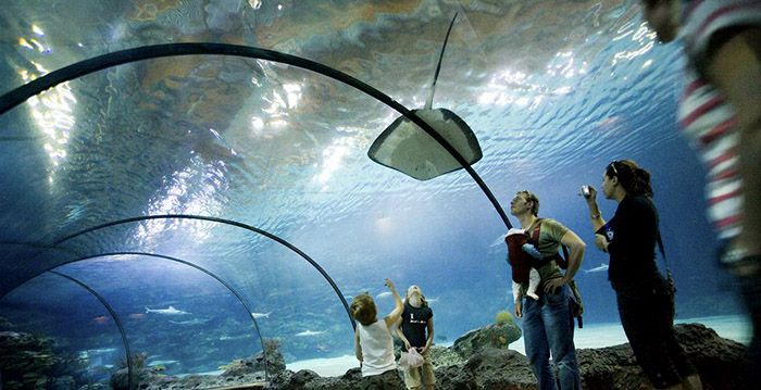 Diergaarde Blijdorp krijgt 2,4 miljoen euro voor opknapbeurt Oceanium