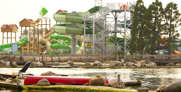 Dolfinarium stopt weer met aparte ochtend- en middagopenstelling