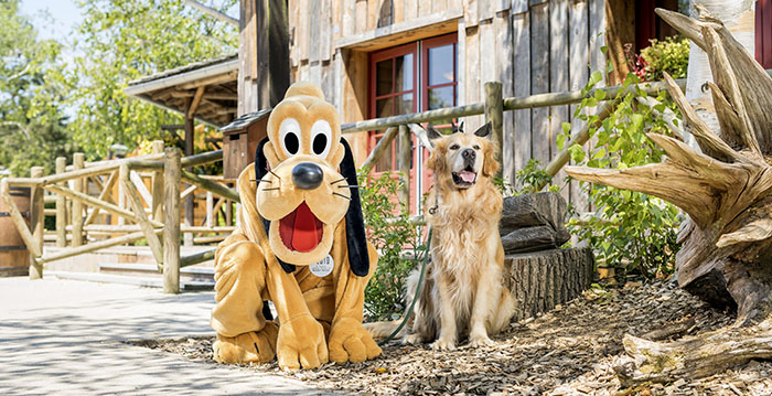 Disneyland Paris laat honden toe in - Looopings.nl