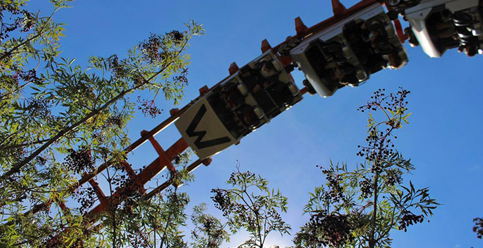 Frans pretpark Walygator past naam aan
