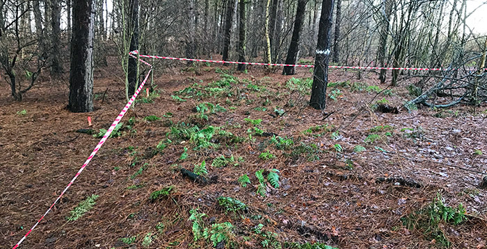 Voorbereidingen voor nieuwe attracties Toverland in volle gang