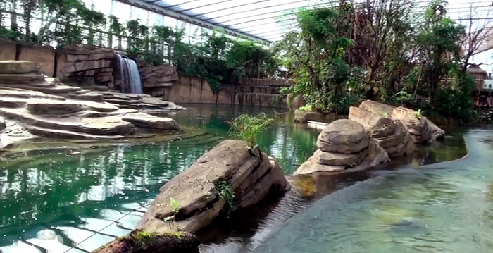 Video: neem een exclusief kijkje in nieuw themapark Wildlands Emmen