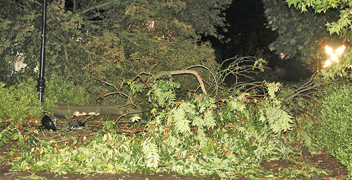 Veel stormschade door windhoos in Plopsaland De Panne
