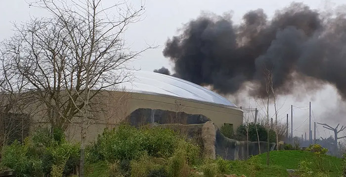 Grote brand in Engelse dierentuin: bezoekers en dieren geëvacueerd