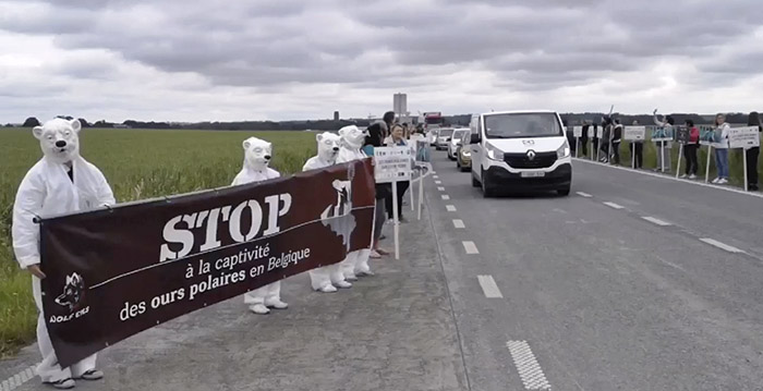 Protest tegen ijsberen in populairste dierentuin van de Benelux