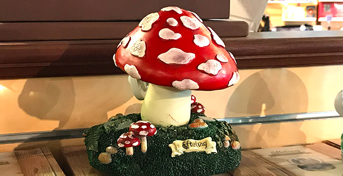 Haal een muzikale paddenstoel uit de Efteling in huis