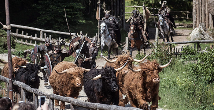 Oud-medewerkers beschuldigen themapark Puy du Fou van ernstige dierenmishandeling