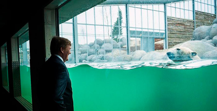 Koning van het dierenrijk: Willem-Alexander opent nieuw themapark Wildlands Emmen