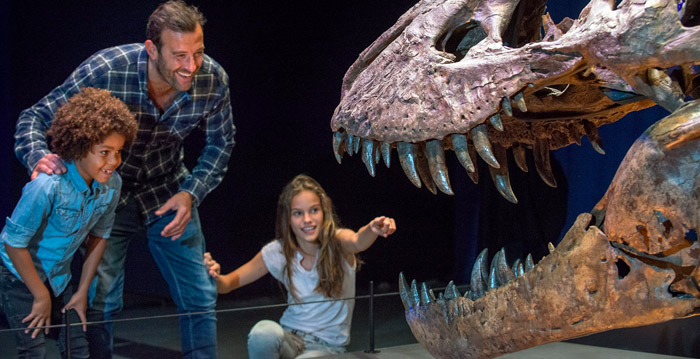 Naturalis sluit akkoord met boze architect: verbouwing mag doorgaan