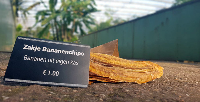 Nieuwe lekkernij in Wildlands Emmen: handgemaakte bananenchips