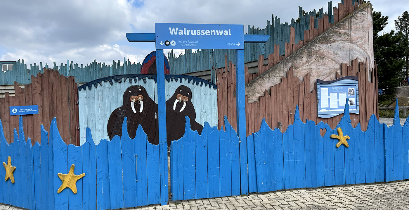 Grote veranderingen in Dolfinarium: twaalf dieren vertrekken, shows worden aangepast