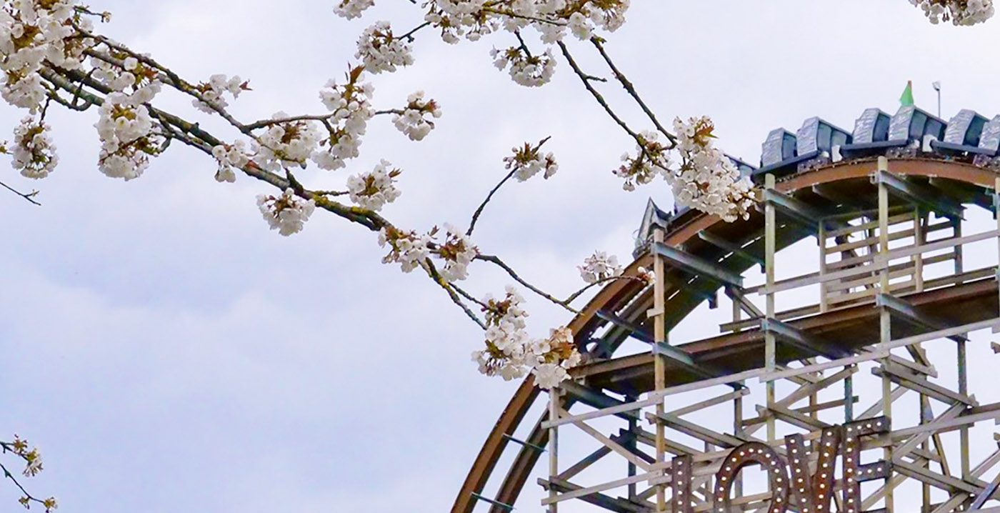 Kabinet luistert niet naar noodkreet pretparkbranche: eerst de terrassen open