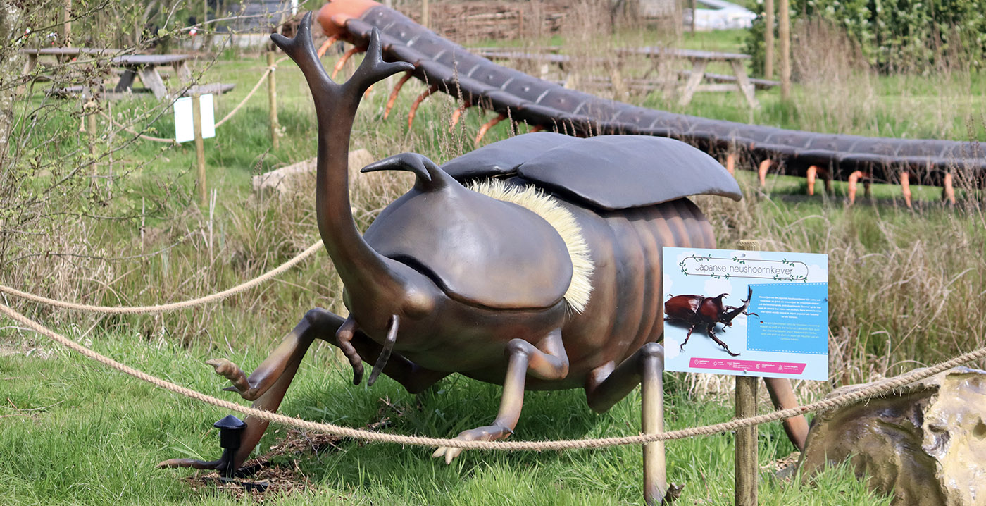 Mega-insecten strijken neer in Avonturenboerderij Molenwaard