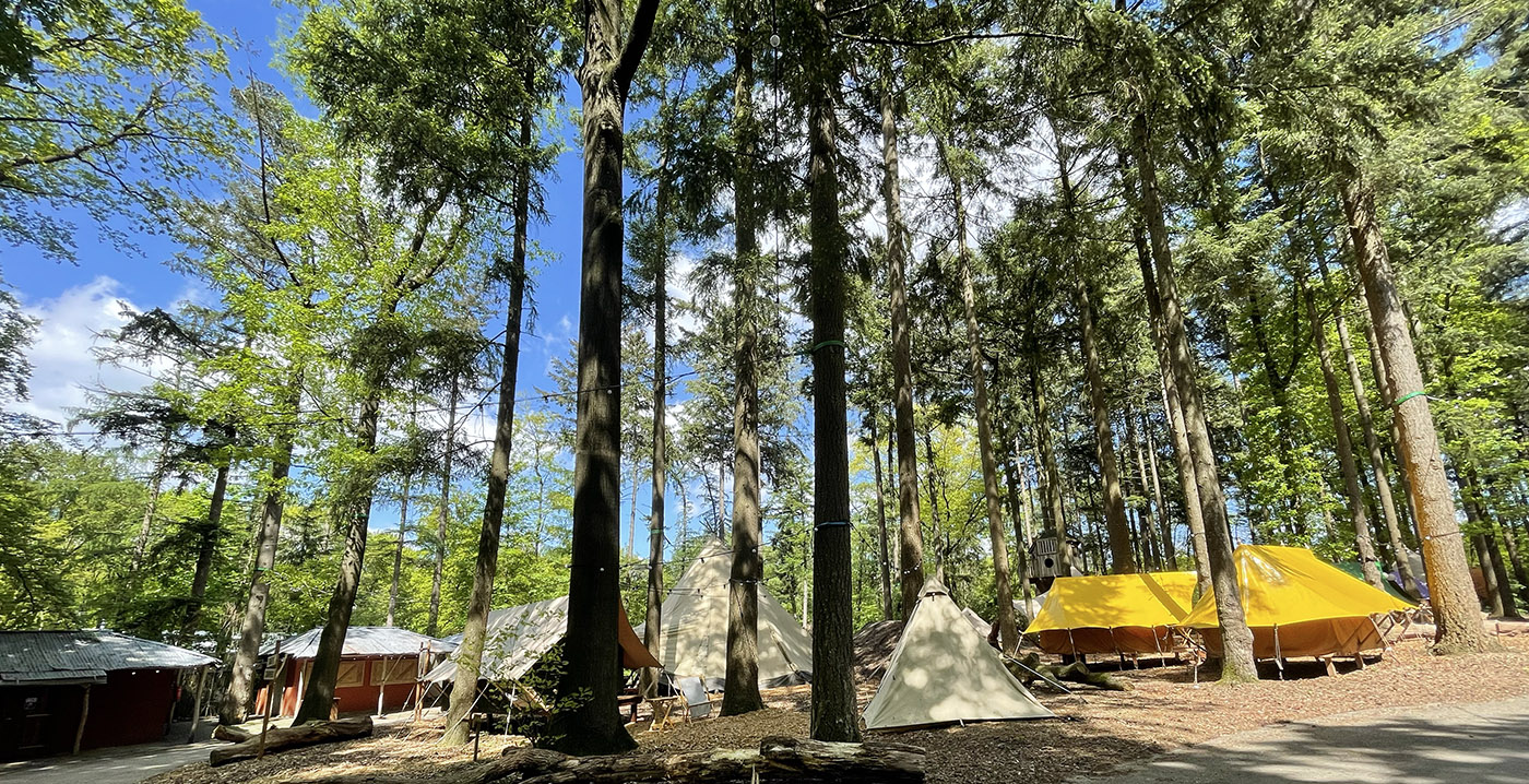 Blijven slapen in Burgers' Zoo? Dierentuin opent eigen camping