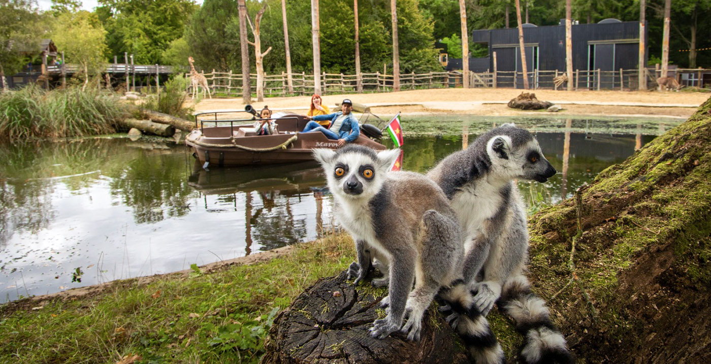 Dierentuinen en attractieparken groeien naar elkaar toe, vertelt ontwerper