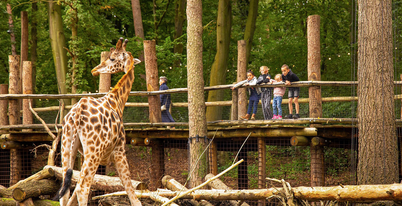 Bezoekers Walibi plunderen snoepautomaat Looopings