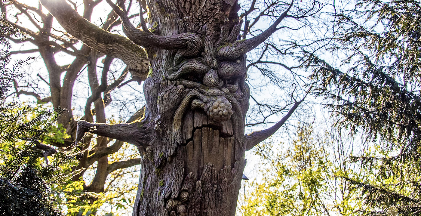 Stem van Kniezende Kniesoor in de Efteling: 'Je mag mij niet herkennen'