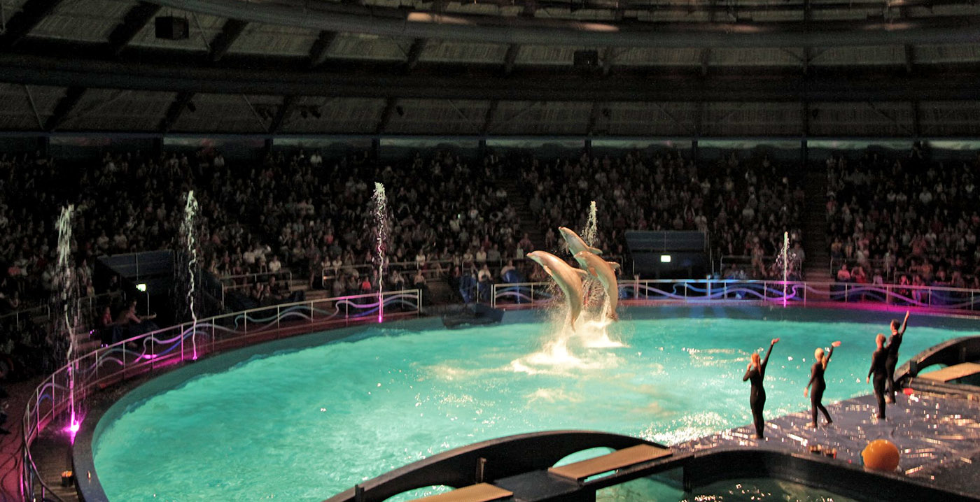 'Show' is tegenwoordig een verboden woord in het Dolfinarium