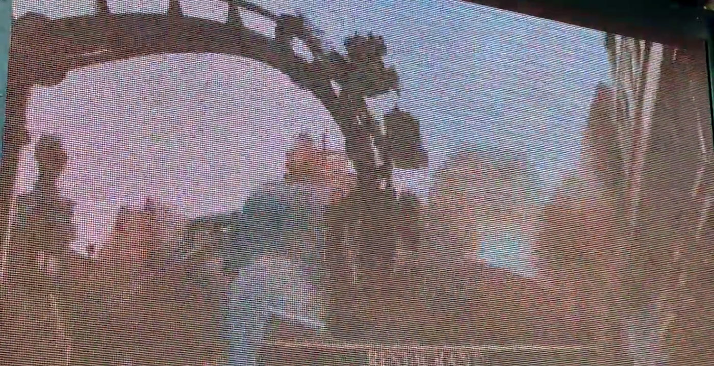Video: Europa-Park toont reclame voor Phantasialand-achtbaan F.L.Y.