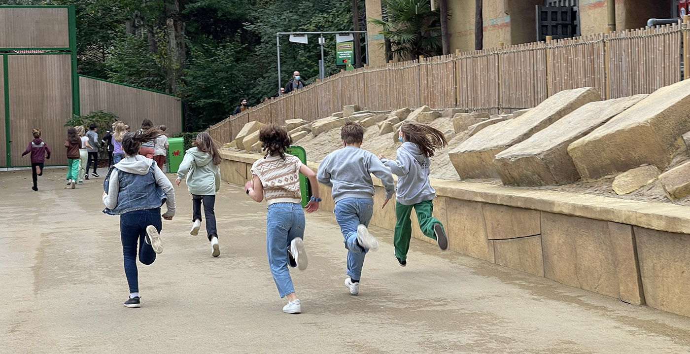 Foto's: Walibi Belgium hersteld van overstromingen, nagenoeg alle attracties geopend