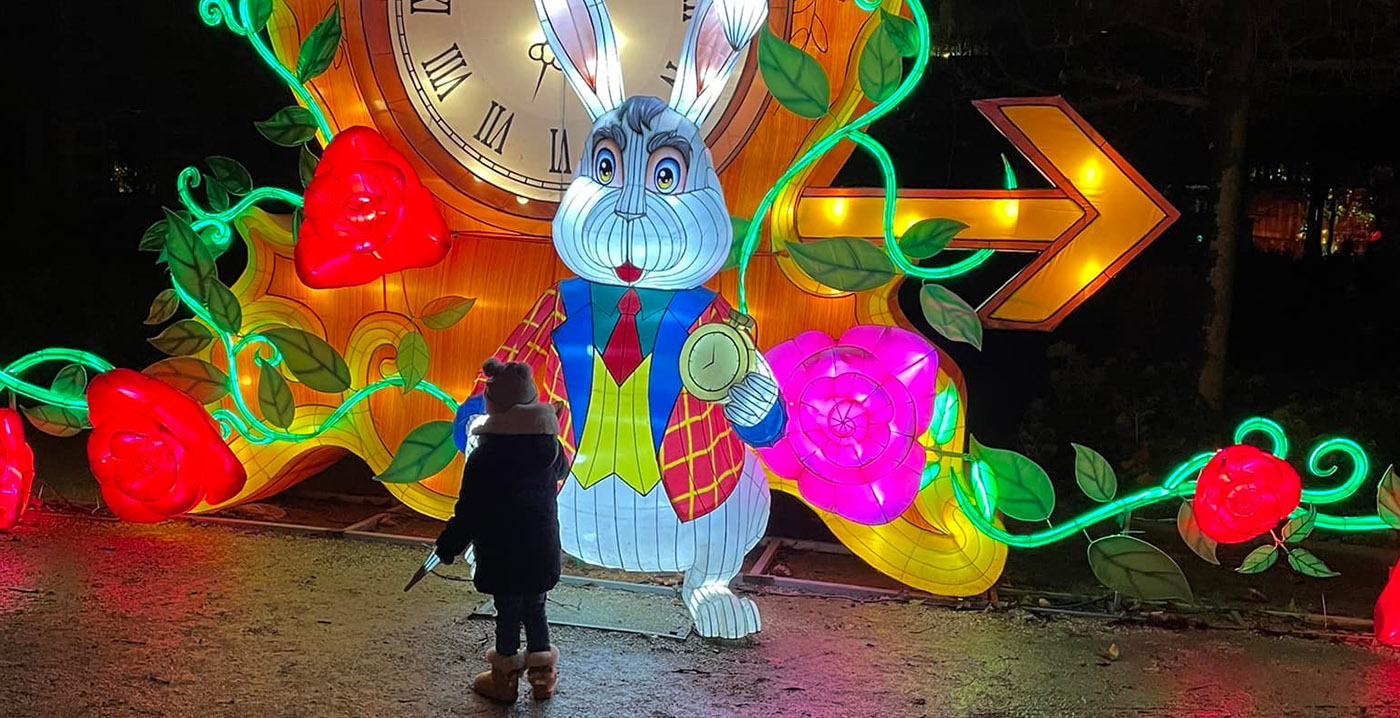 Lichtfestivals in twee Belgische dierentuinen: dino's en Alice in Wonderland