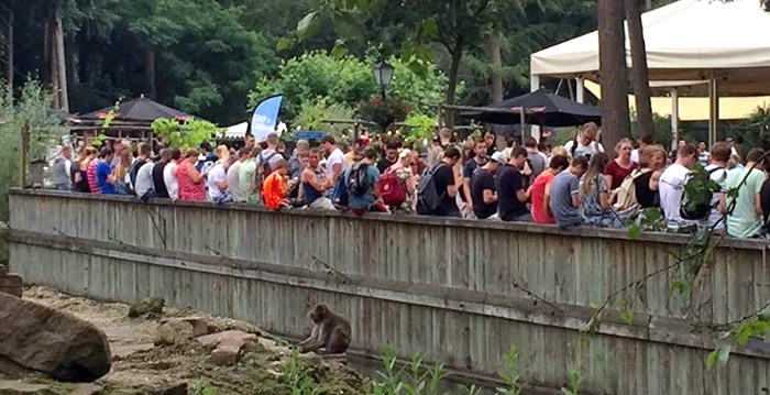 Gigadrukte bij Pokémon GO-evenement in DierenPark Amersfoort