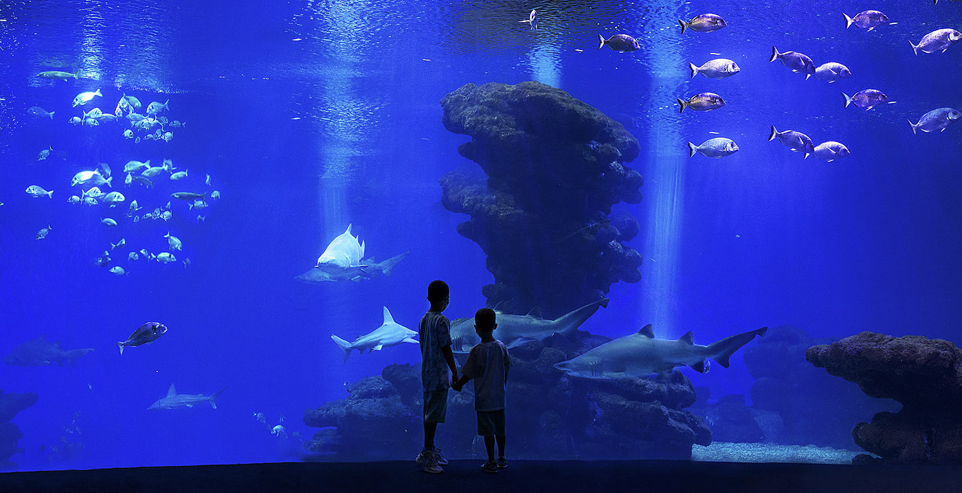 Spaans aquarium voorlopig dicht vanwege ontbreken toeristen