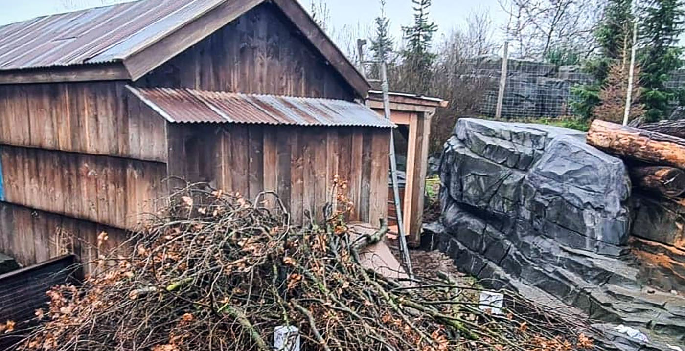 Voorlopig geen bevers te zien in Wildlands Emmen: 'Het klikte niet'