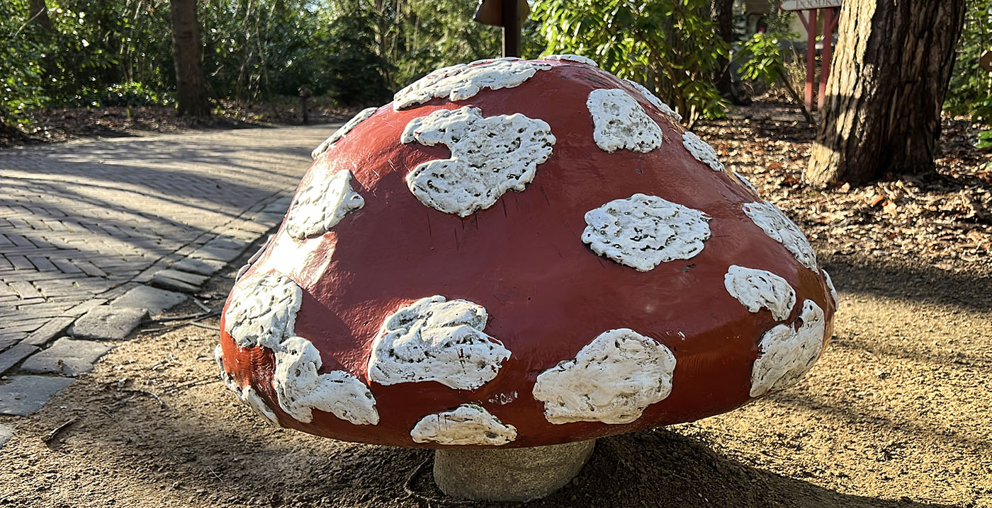 Luisteren: muzikale paddenstoelen Efteling spelen verjaardagsliedjes