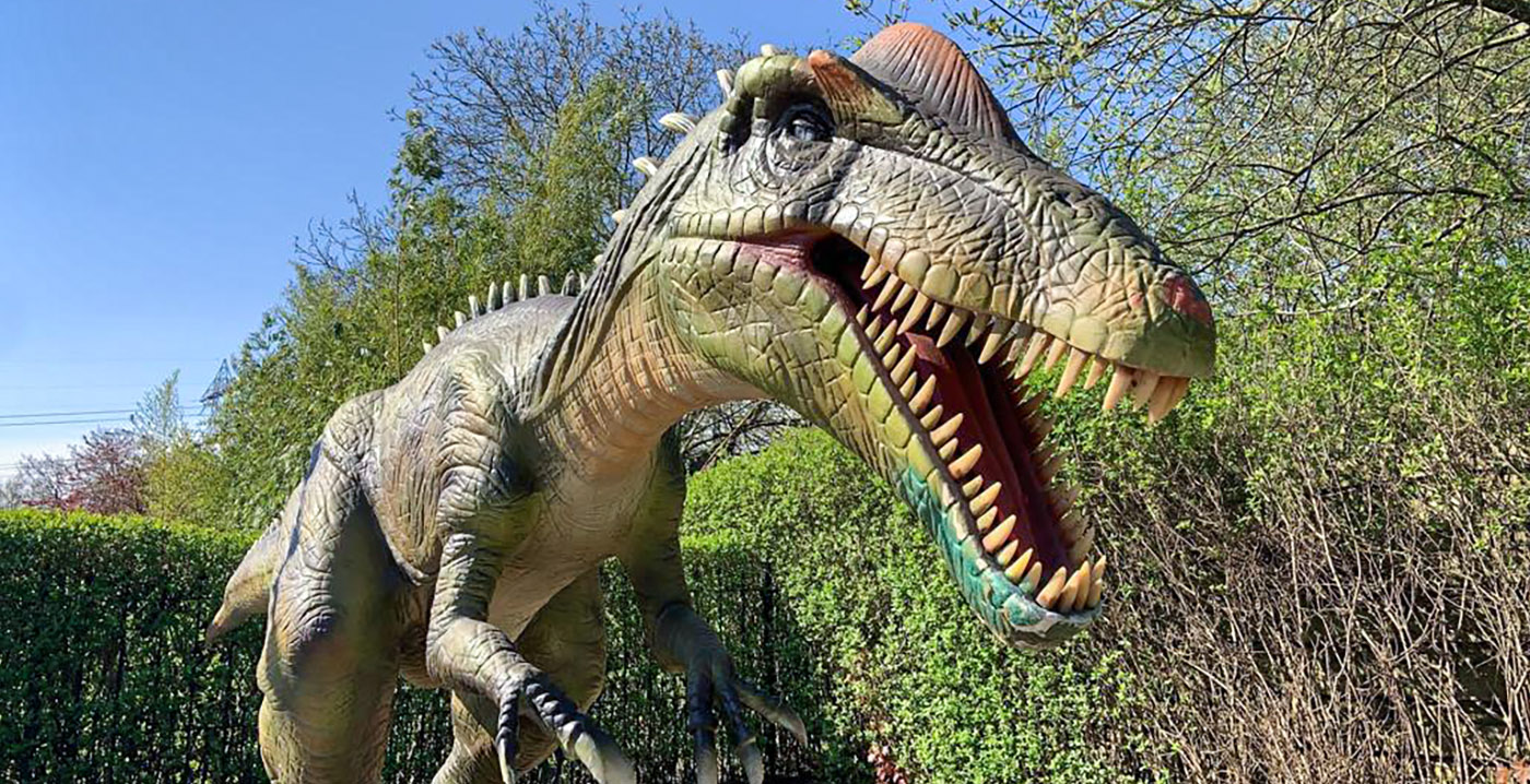 Foto's: twintig dinosaurussen nemen Brabantse dierentuin over